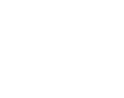 pool ladder icon